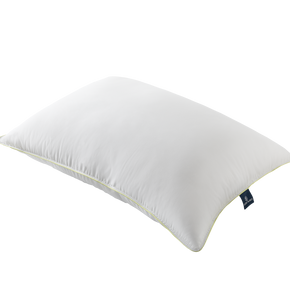 Aloe Vera Pillow
