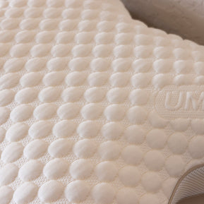 Colora Butterfly Pillow