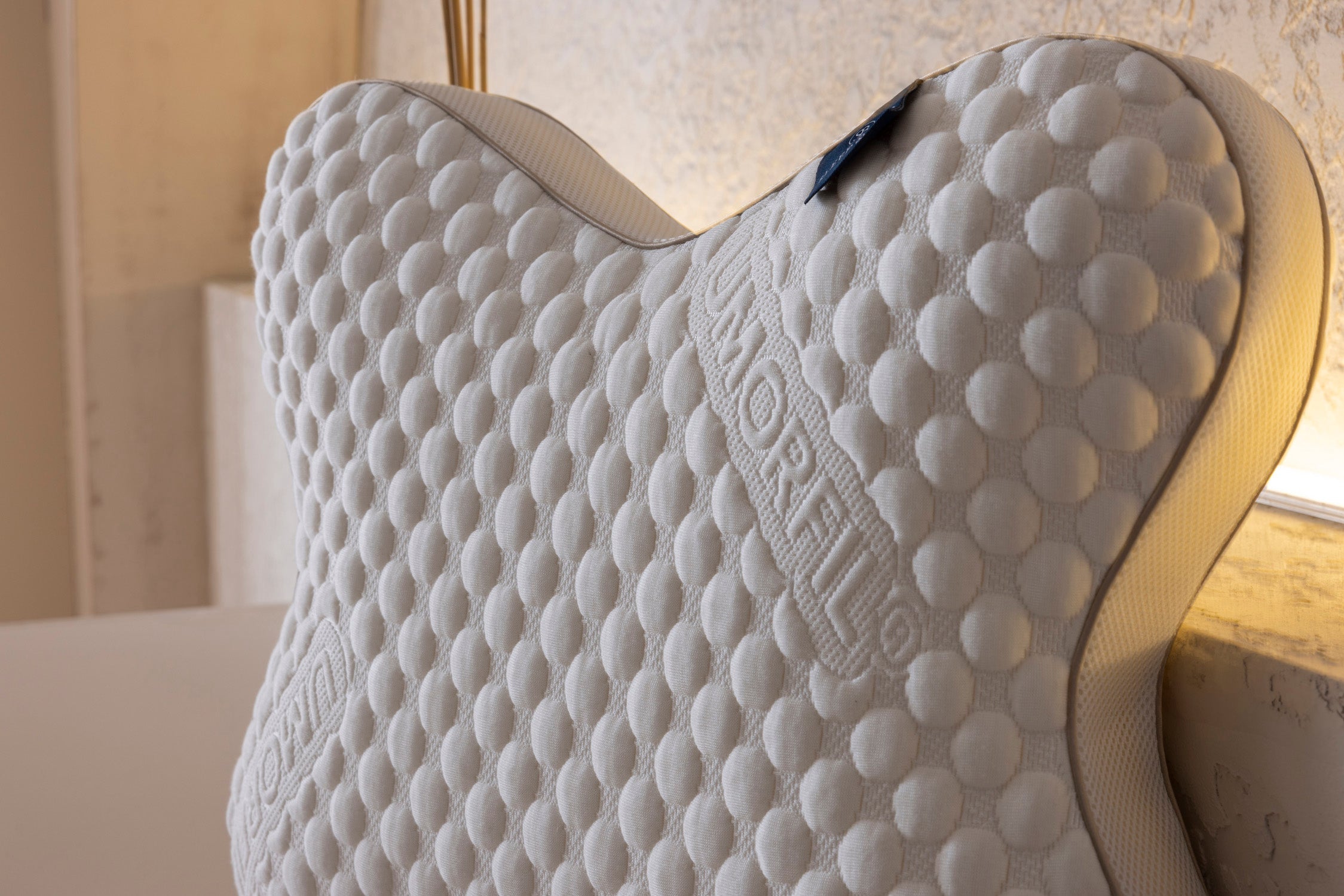 Colora Butterfly Pillow