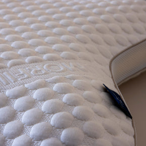 Colora Butterfly Pillow
