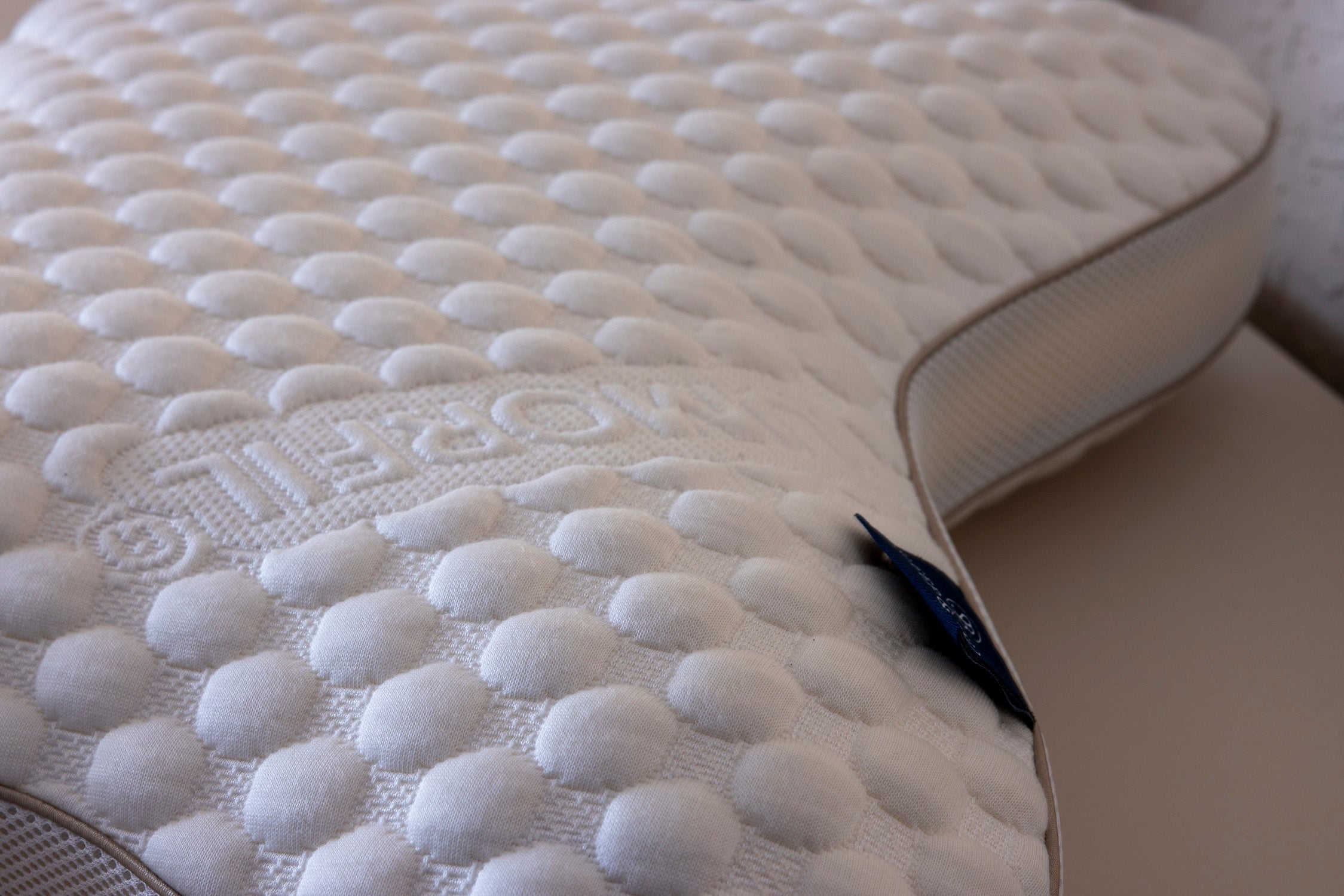 Colora Butterfly Pillow