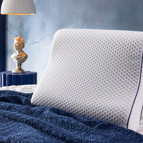 Visco Spine Pillow