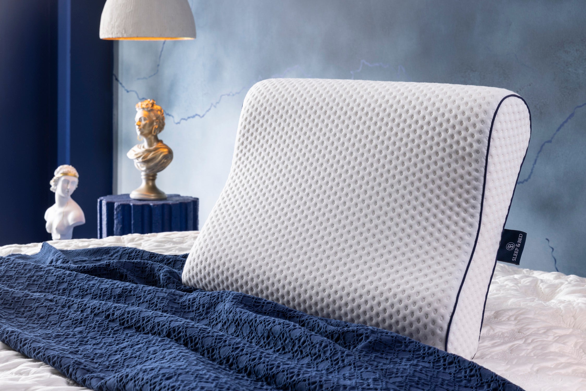 Visco Spine Pillow