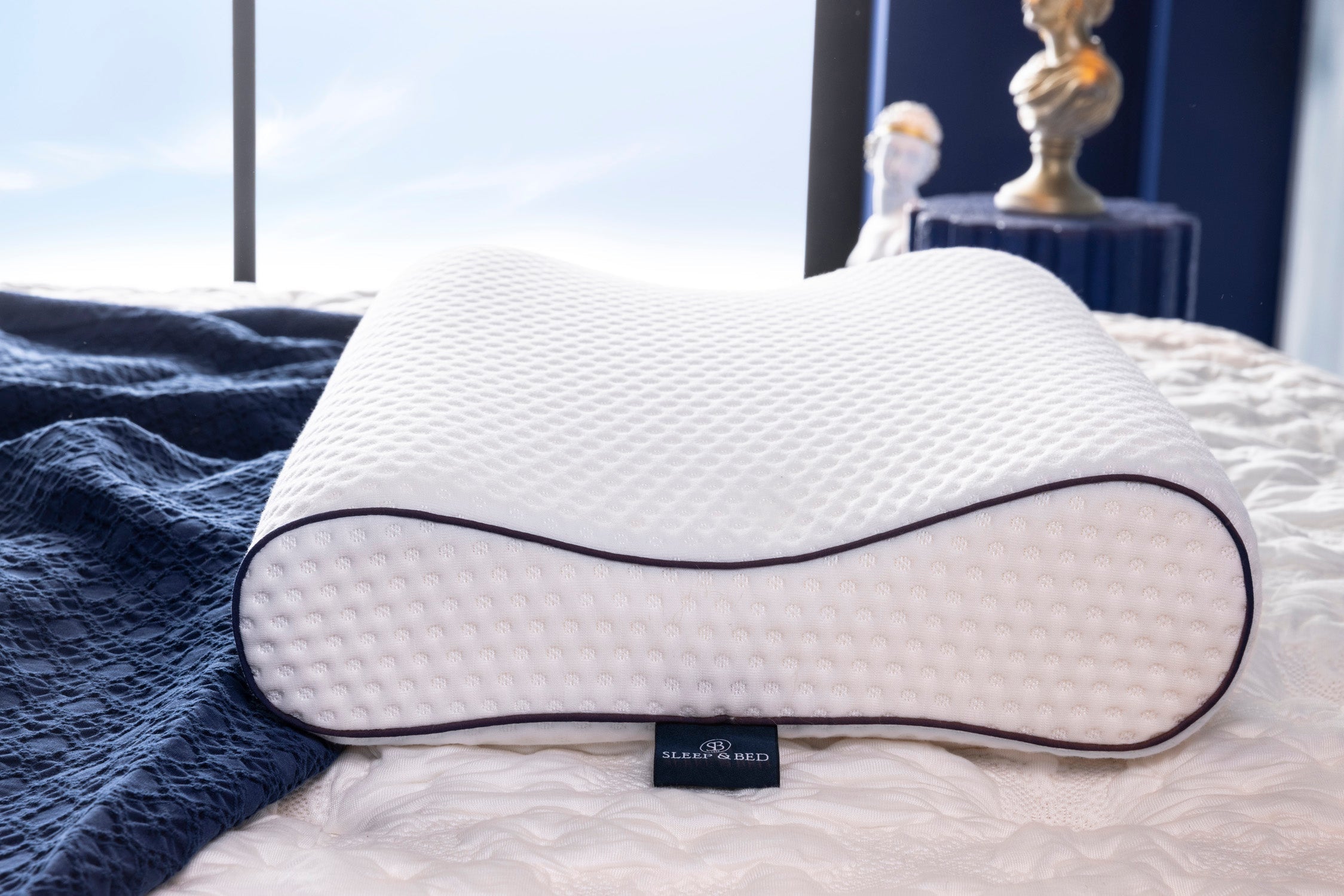 Visco Spine Pillow