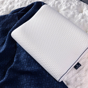 Visco Spine Pillow